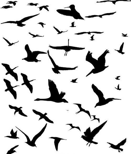 500x590 Flock Of Birds Clipart Little Black Many Interesting Cliparts