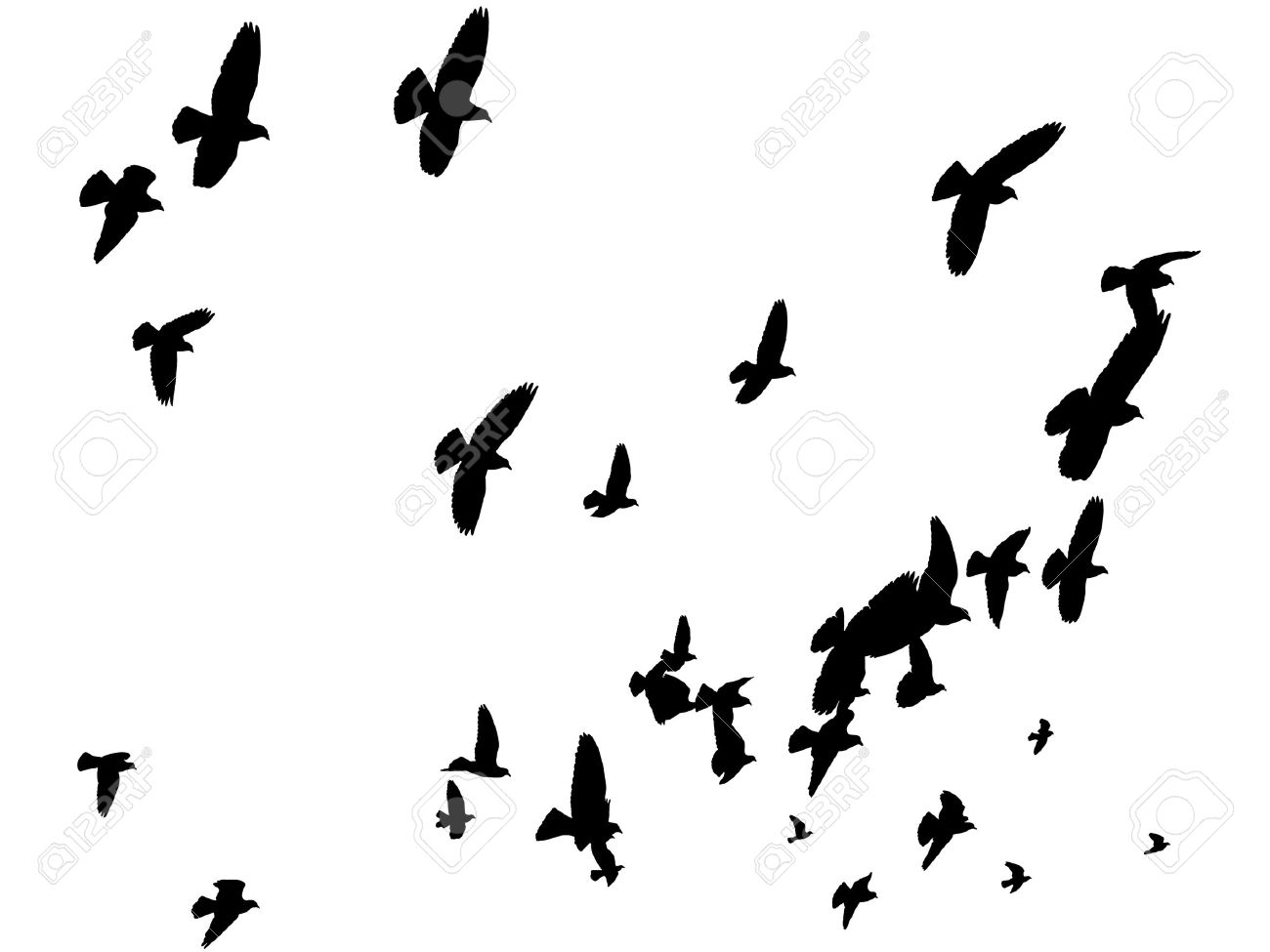 1300x975 Flock Of Birds Flying Clipart Collection