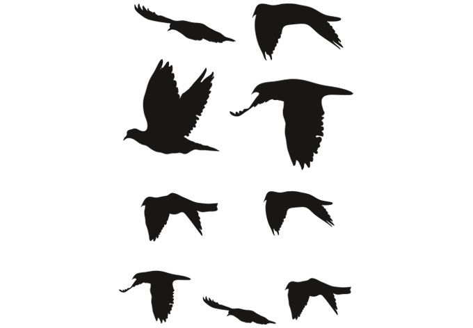 680x472 Of Birds Wall Sticker