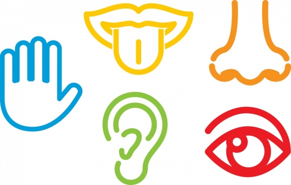 579x368 United States Outline Free Vector Download (6,038 Free Vector)