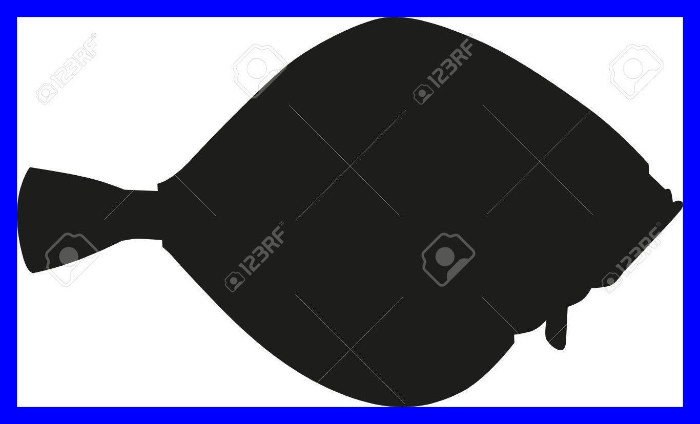 1366x828 Shocking Flounder Fish Silhouette Royalty Cliparts Vectors