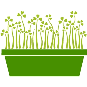 300x300 Silhouette Design Store