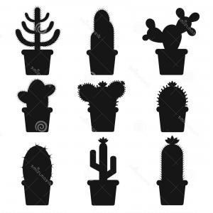300x300 Stock Illustration Cactus Silhouettes White Background Pots Home