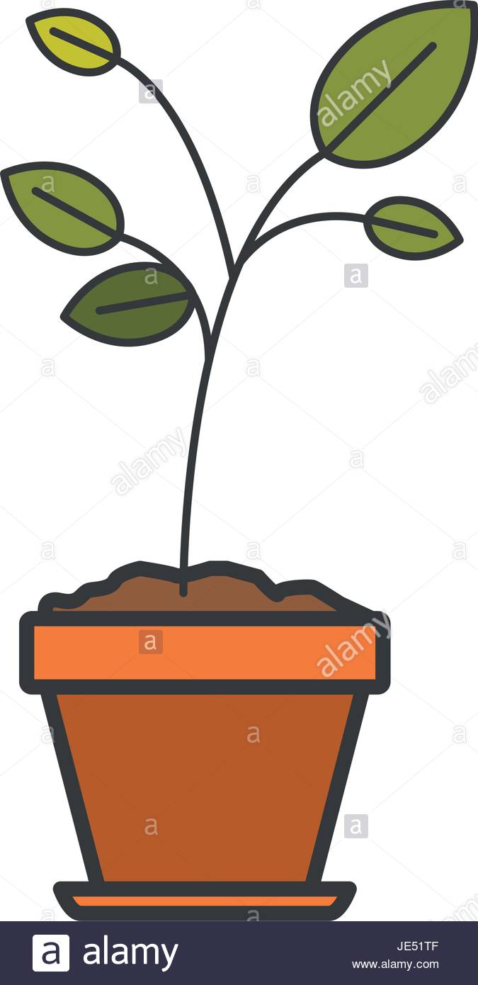 675x1390 Colorful Silhouette Of Plant In Flower Pot With Thin Contour Stock