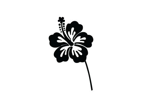 500x350 Free Hibiscus Flower Silhouette Vector
