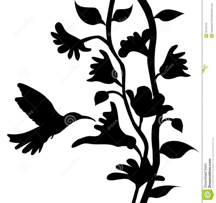 736x692 91 Best Flower Silhouette Images On Drawing Flowers