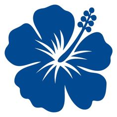 236x236 Vectores De Flores