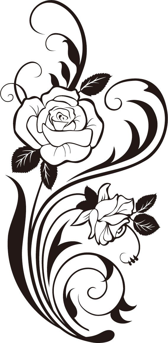 568x1157 Rose Vine Silhouette Svg,