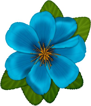 390x452 399 Best Mohana Images On Luau Party, Birthdays