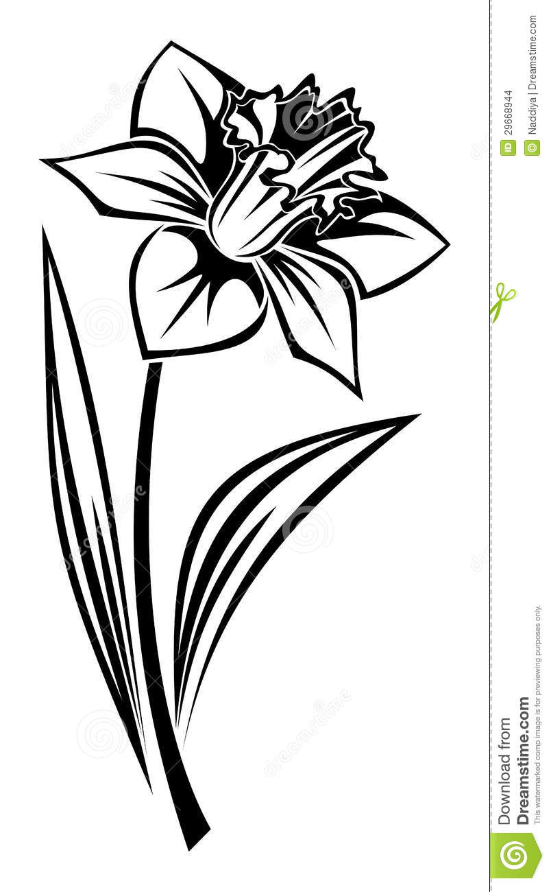 804x1300 Flower Silhouette Clip Art