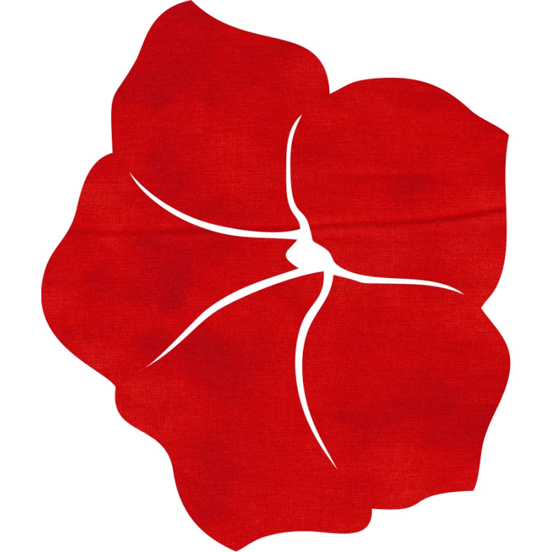 800x800 Silhouette Flower