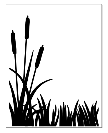 367x454 Cattails Ss.png