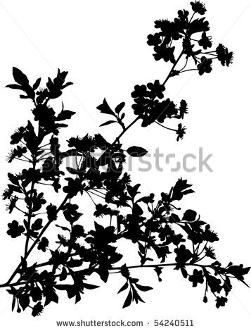 357x470 Rose Bush Silhouette