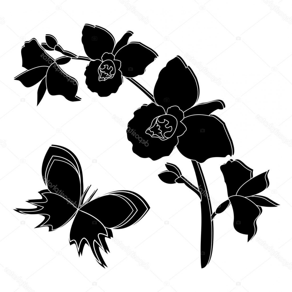 1228x1228 Stock Illustration Black Silhouette Of Orchid Flowers Createmepink