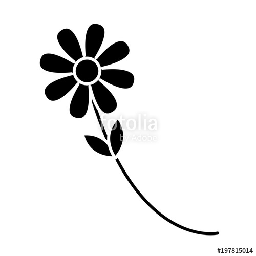 500x500 Silhouette Nature Flower With Beautiful Petals And Leaves Stock