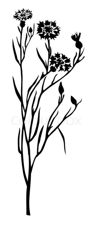 315x800 Single Flower Svg