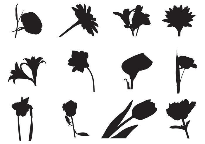 700x490 Free Field Flowers