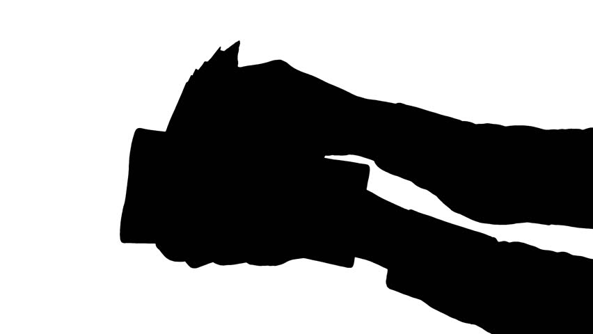 852x480 Flying Bat On The White Background. Png alpha.