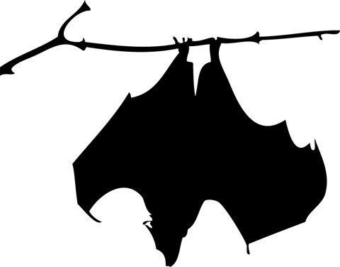 480x376 Bat Clipart Tree