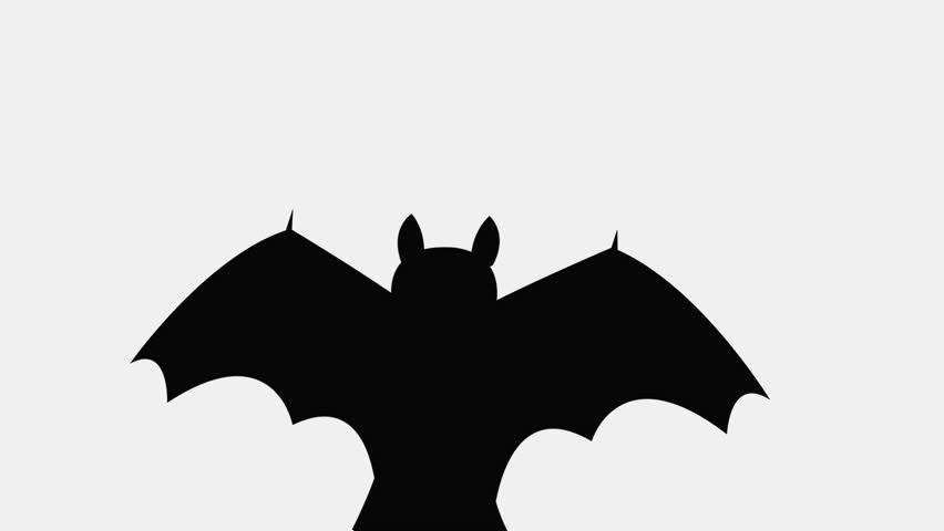 852x480 Bats Flying Isolated On White Background Stock Footage Video