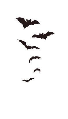 236x413 Images For Gt Flying Bats Tattoo Tattoos Bats