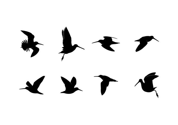 700x490 Silhouette Flying Snipe Free Vector