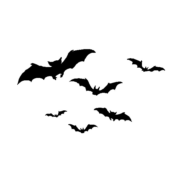600x600 Welcome To Shady Lady's Horror Graphics Flying Bats Liked