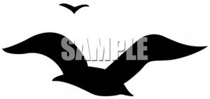 300x141 Birds Silhouette