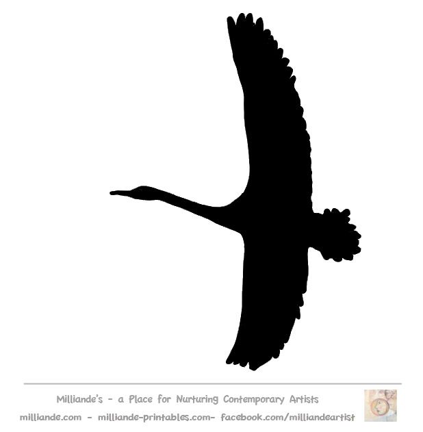 618x631 Black Swan Clipart Stencil