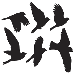 265x265 Flying Birds Wall Appliques Bird Stencil, Wall Appliques