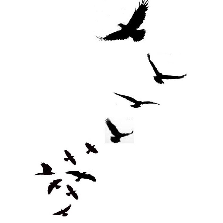 748x748 Unique Birds Tattoos Designs