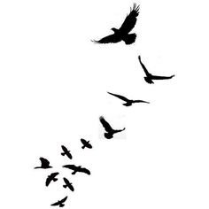 236x236 Free Bird Tattoo Designs Am Loving These Little Bird Silhouette