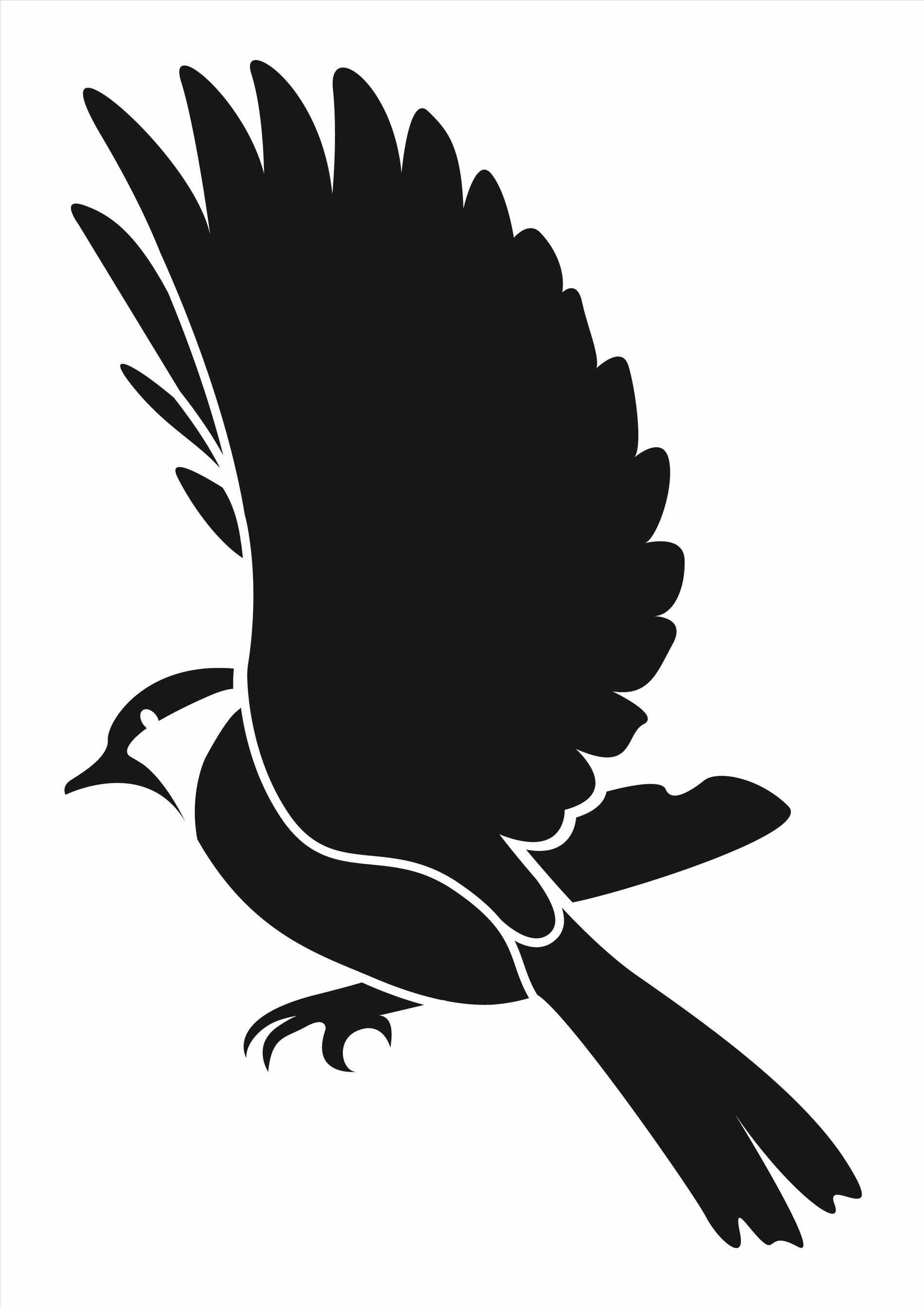 1899x2687 Bird In Flight Silhouette Tattoo