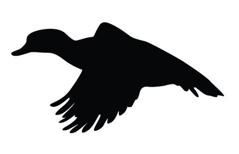 480x309 Duck Flying Silhouette Vector Silhouettes, Free Printables