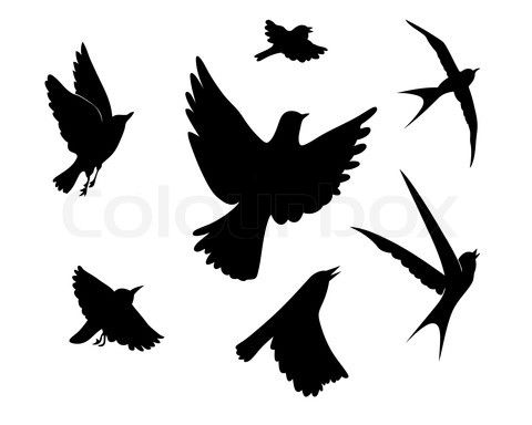 480x384 Stock Vector Of Flying Birds Silhouette On White Background