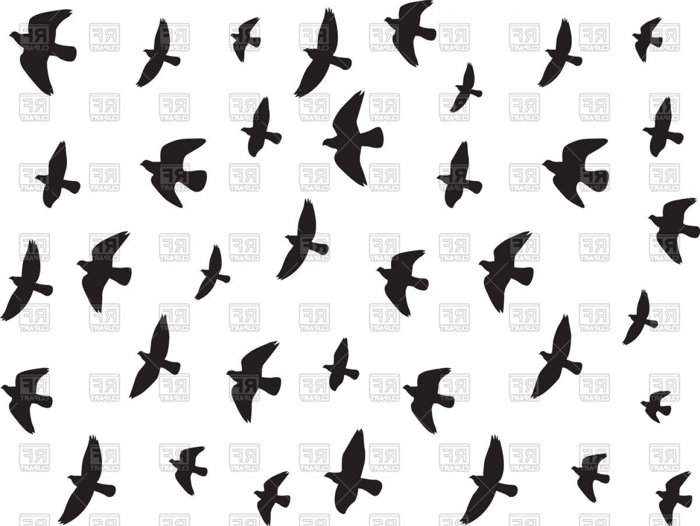1440x1081 Bird Flying Vector Art Createmepink