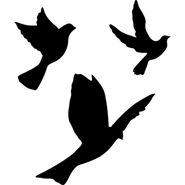 626x626 Flying Birds Silhouettes Vectors, Photos And Psd Files Free Download