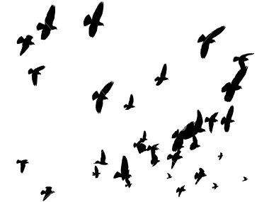 Flying Birds Silhouette at GetDrawings | Free download