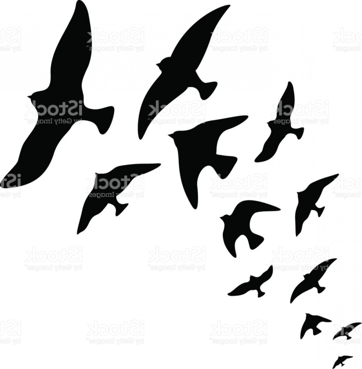 1202x1228 Vector Silhouette Flock Of Flying Birds Design On White Background