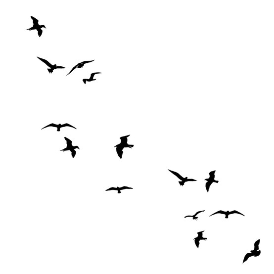 554x554 Birds Silhouette Prints Patterns Silhouettes