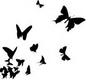 280x259 Butterfly Effect Cayley Grace