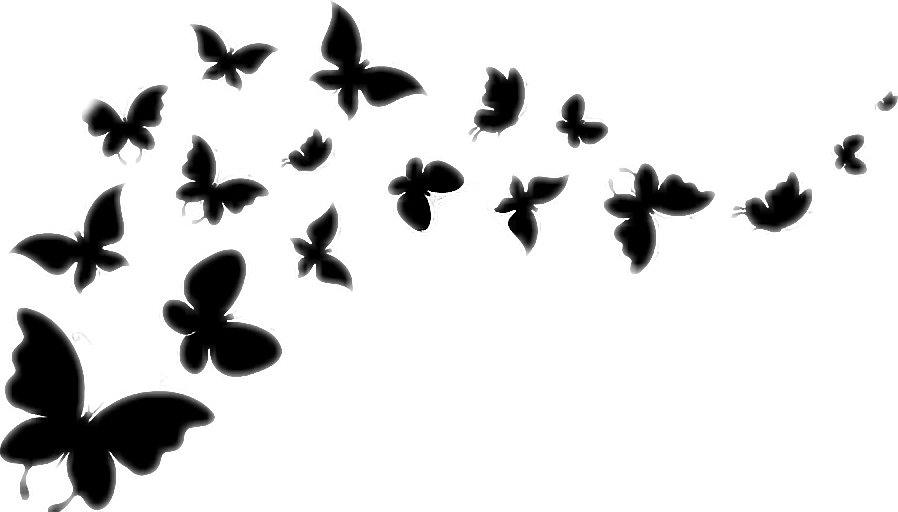 898x512 Butterfly Silhouette Blackandwhite Flying Butterflies