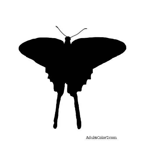 494x488 Butterfly Outline Or Silhouette Basic Butterfly Shapes
