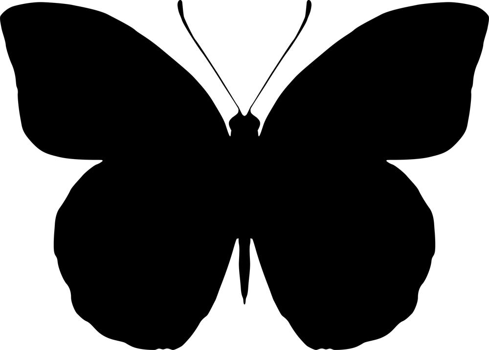 1000x715 Butterfly Silhouette Vector