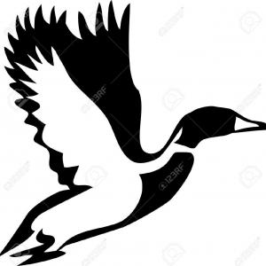 300x300 Free Vector Free Duck Silhouette Vectors Createmepink