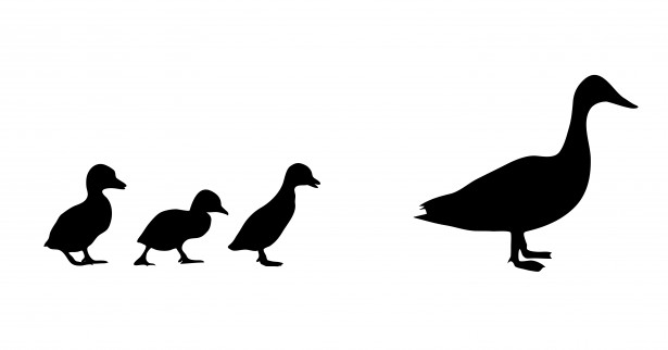 615x322 Flying Duck Silhouette Clip Art