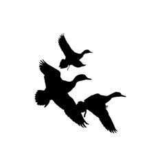 236x236 Flying Duck Silhouette Vector Graphics