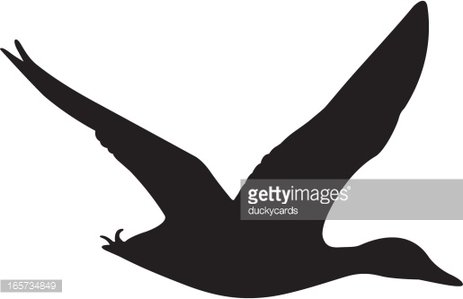 463x299 Mallard Duck Flying Silhouette Premium Clipart
