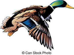 259x194 Mallard Clipart Flying