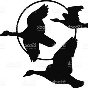 300x300 Vector Isolated Silhouette Goose Duck Createmepink